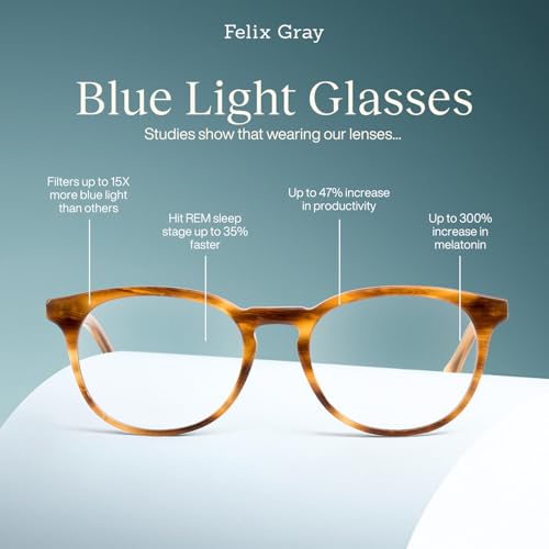 Felix Gray Roebling Blue Light Glasses